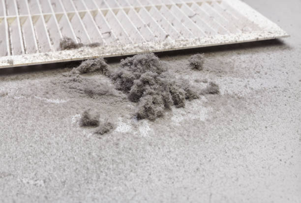 Best HVAC Duct Inspection Services  in Winchester, NV